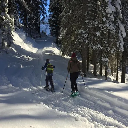 Dolomitici Appartamento *
