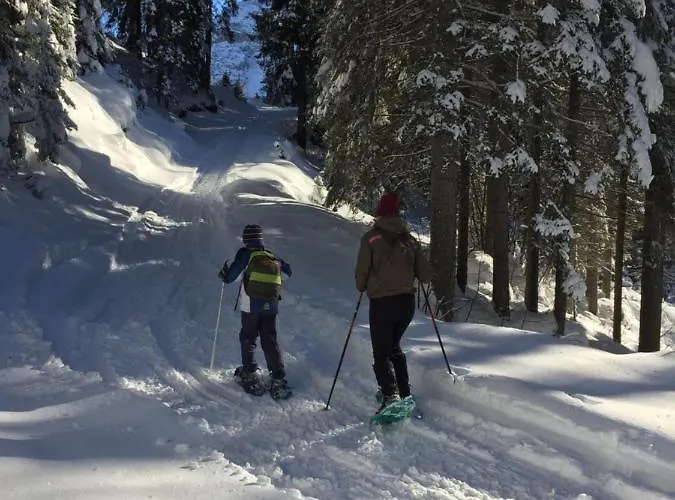 Dolomitici Apartmán *